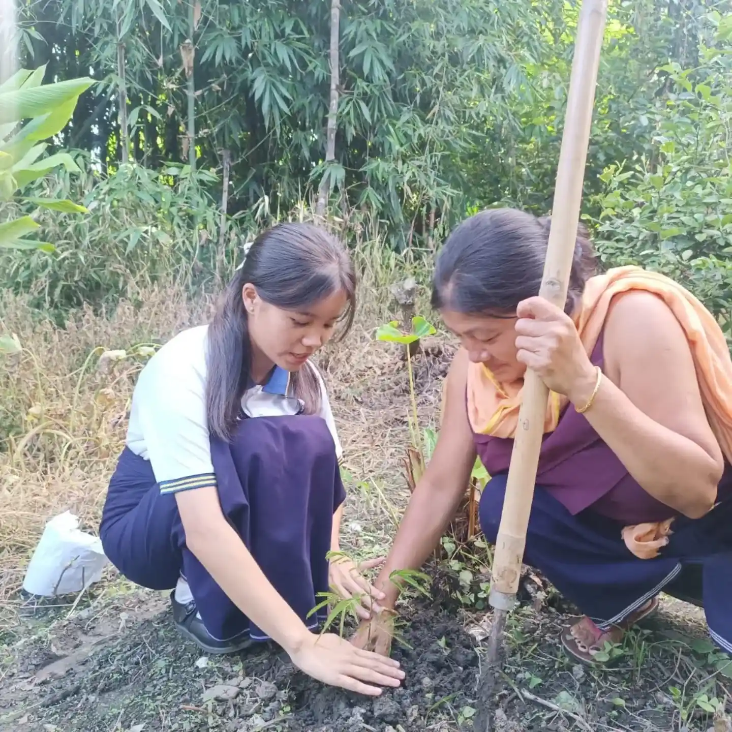 Planting 3